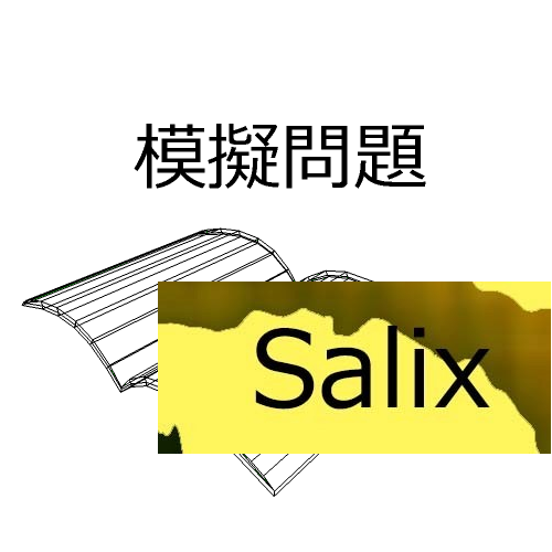 Salix昇進昇格試験「対策とノウハウ」 - 参考書